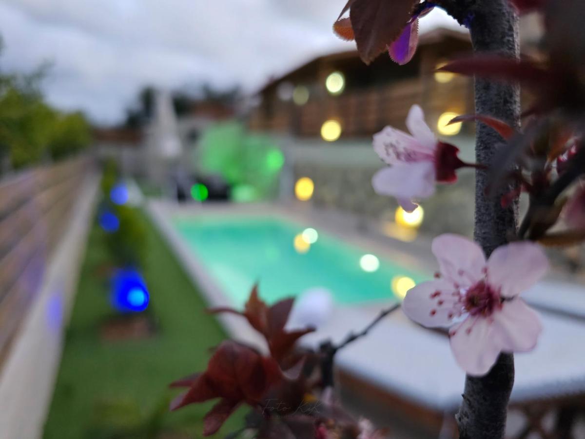 Elia Paradise Villa With Private Pool Heraklion (Crete) Exterior foto